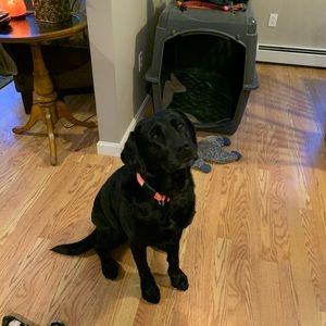 Meet your Posher, Chris